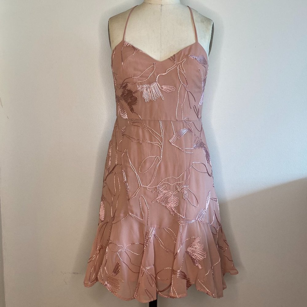 HALSTON HERITAGE Chiffon A-line Mini Dress - Blush